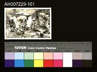 藏品(江府黃太夫人喪禮相關照片)的圖片